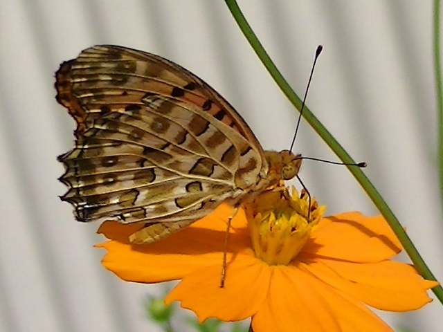 �`���E�`��