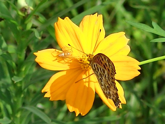 �`���E�`��