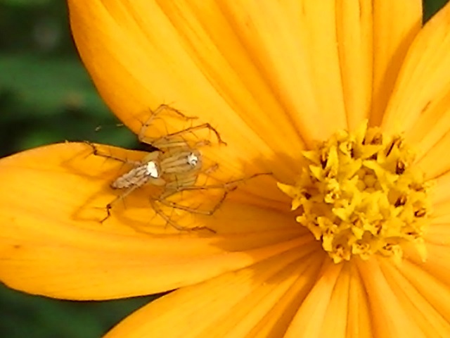 �`���E�`��