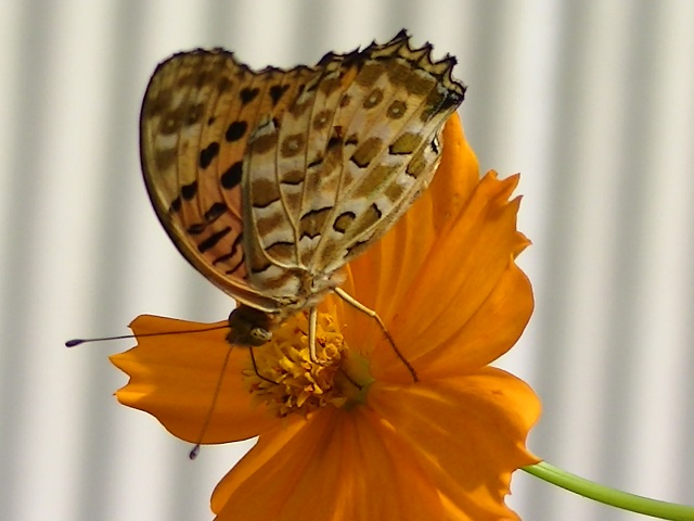 �`���E�`��