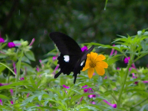 �`���E�`��