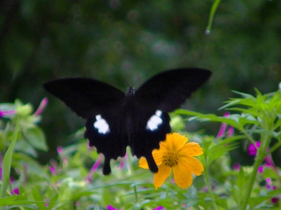 �`���E�`��