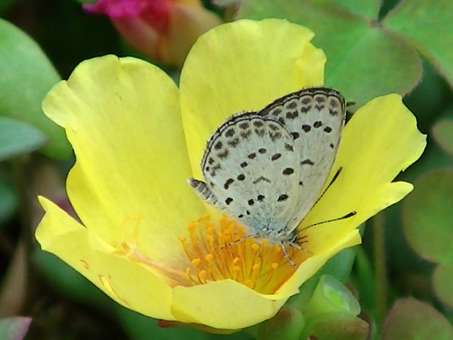 �`���E�`��