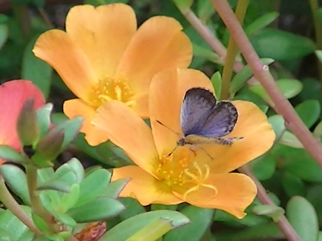 �`���E�`��