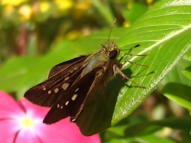 �`���E�`��