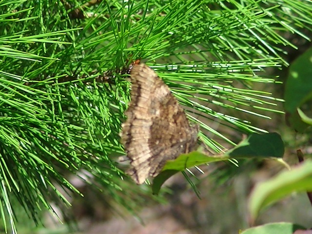 �`���E�`��