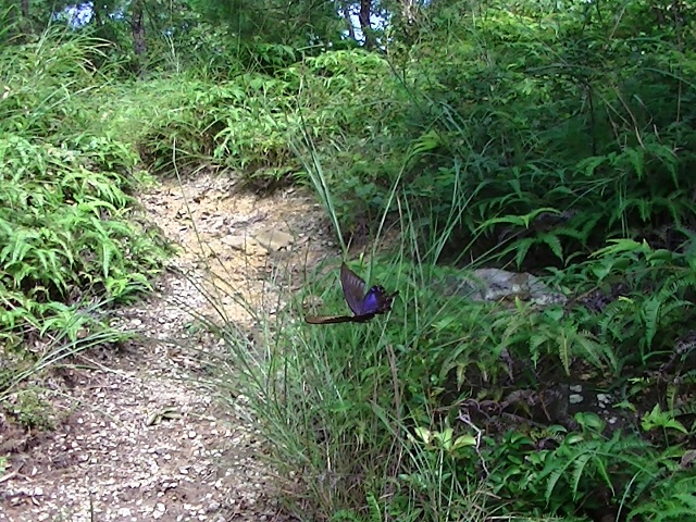 �`���E�`��