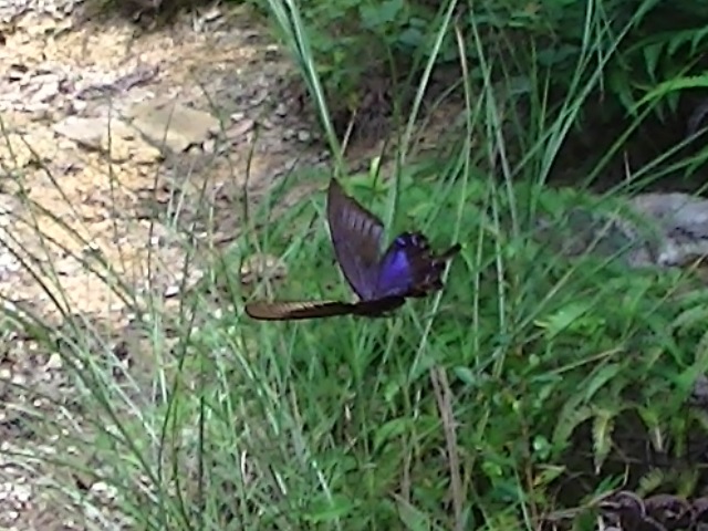 �`���E�`��