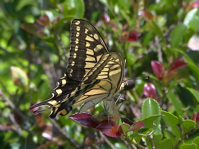 �`���E�`��