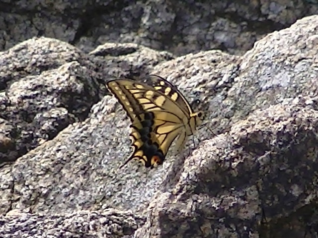 �`���E�`��