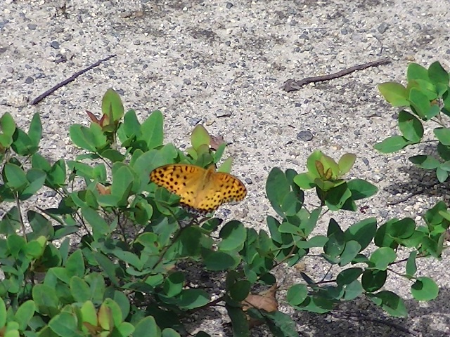 �`���E�`��