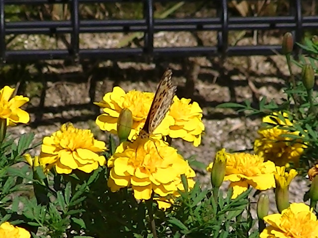 �`���E�`��