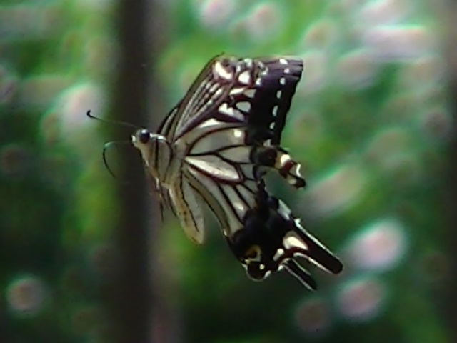 �`���E�`��