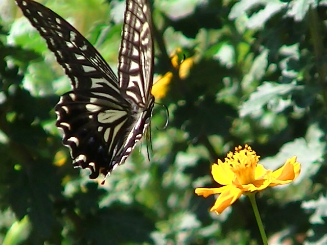 �`���E�`��