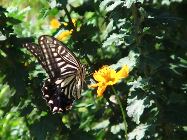 �`���E�`��