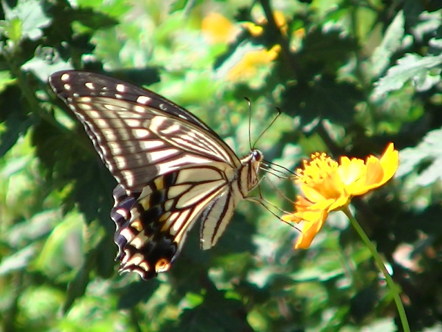 �`���E�`��