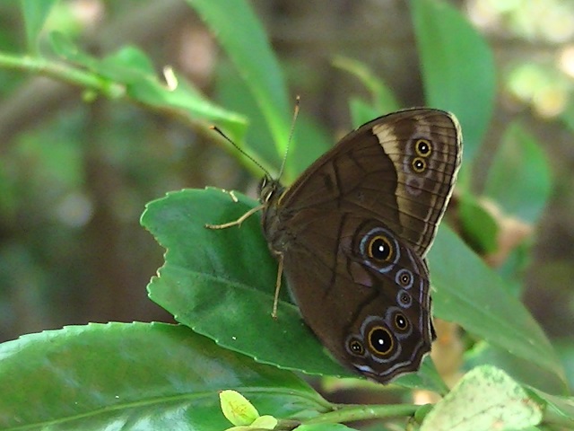 �`���E�`��