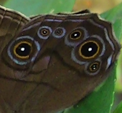 �`���E�`��