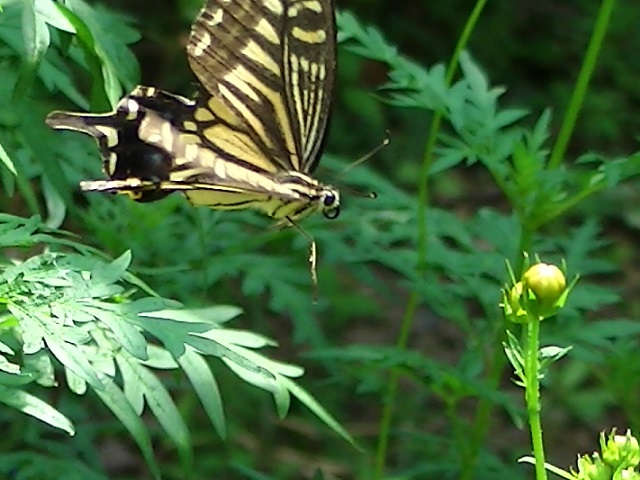 �`���E�`��