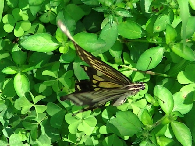 �`���E�`��