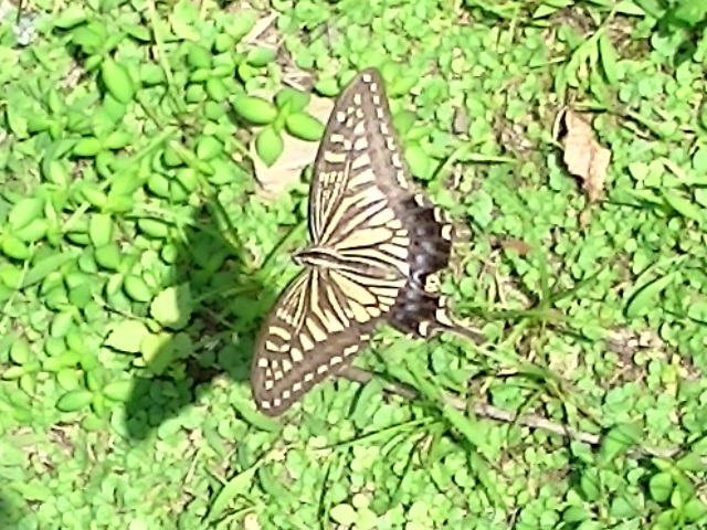 �`���E�`��