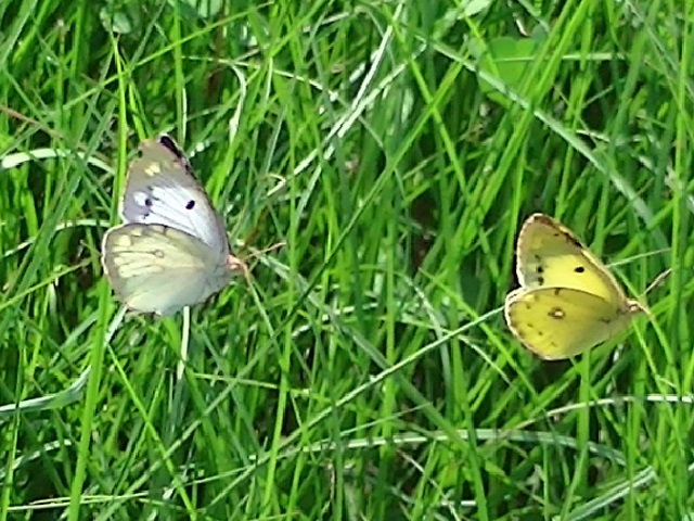 �`���E�`��