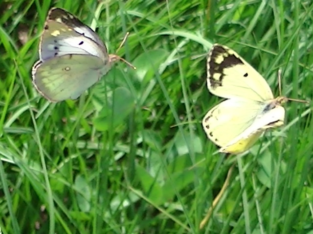 �`���E�`��