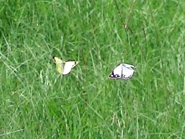 �`���E�`��