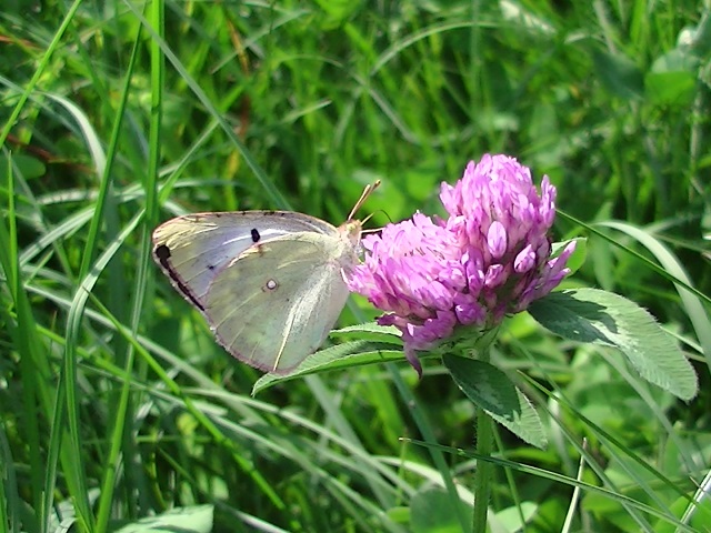 �`���E�`��