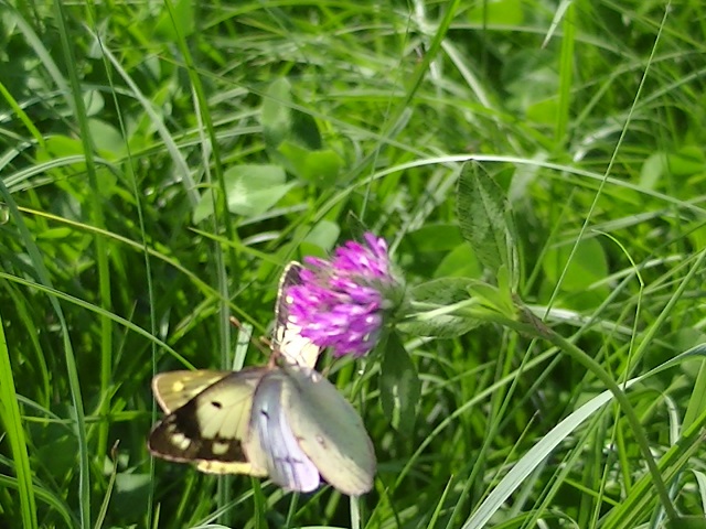 �`���E�`��