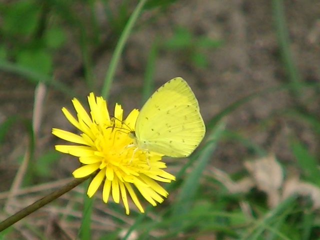 �`���E�`��