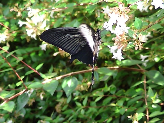 �`���E�`��