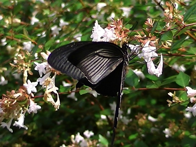 �`���E�`��