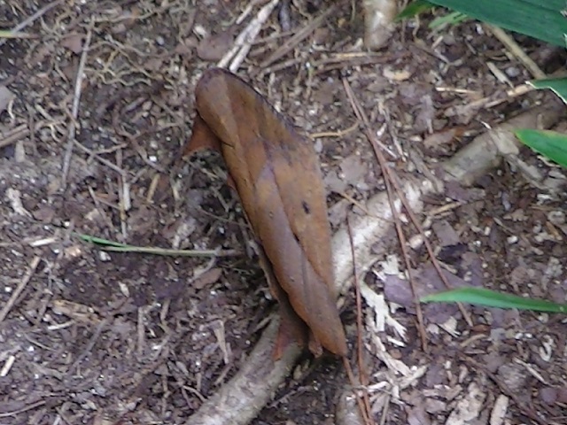 �`���E�`��