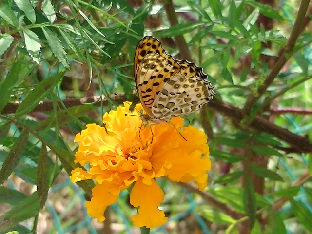 �`���E�`��