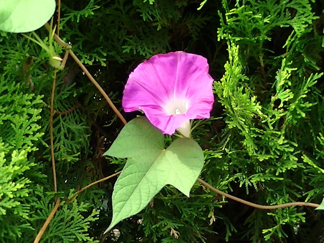 �`���E�`��