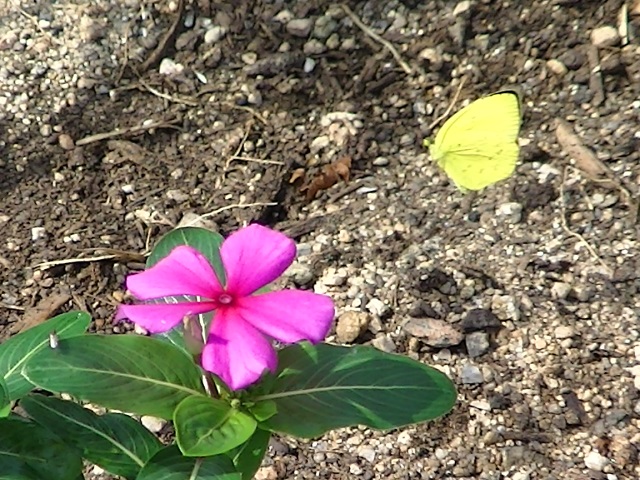 �`���E�`��