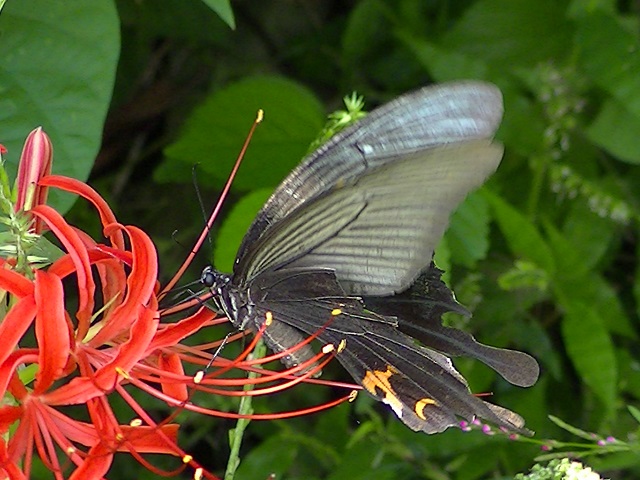 �`���E�`��