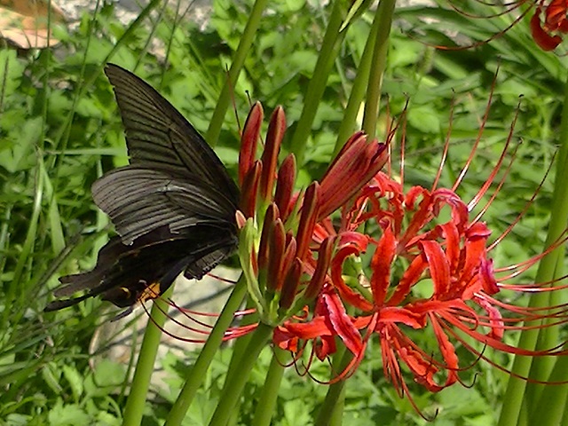 �`���E�`��