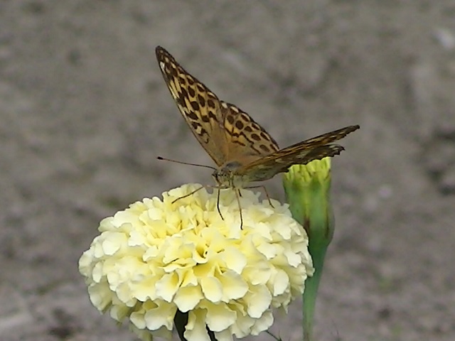 �`���E�`��