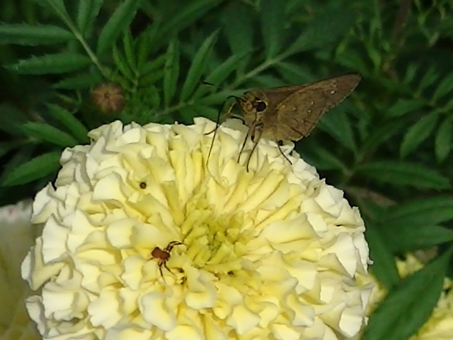 �`���E�`��