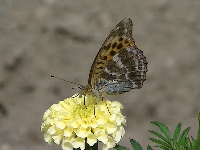 �`���E�`��