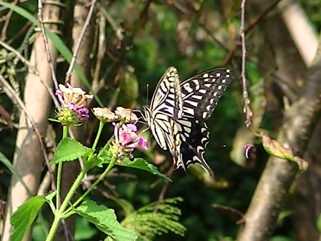 �`���E�`��