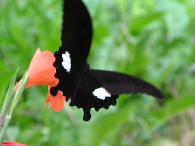 �`���E�`��