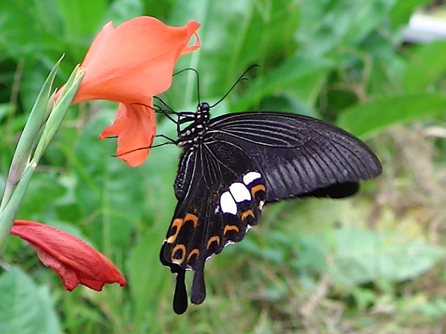 �`���E�`��