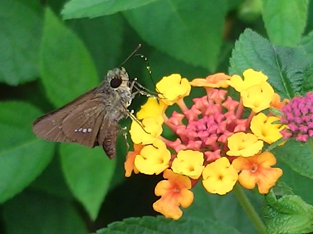 �`���E�`��