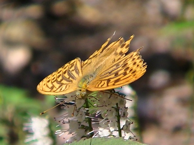 �`���E�`��