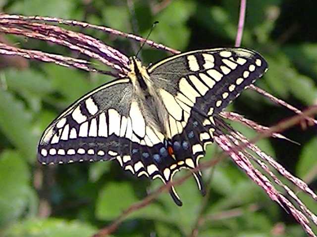 �`���E�`��