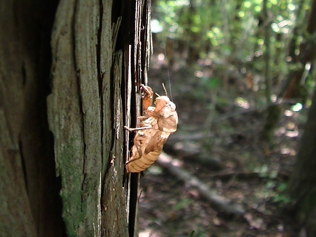 �`���E�`��