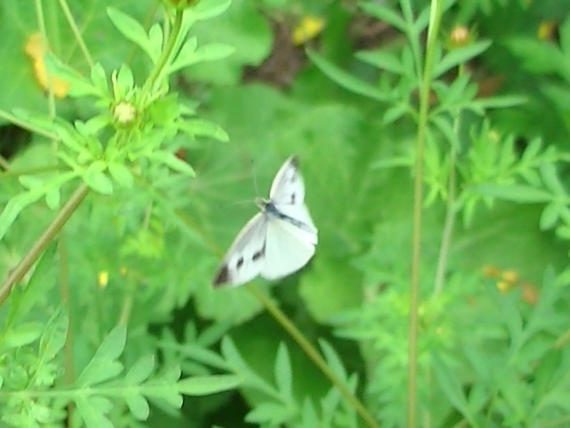 �`���E�`��